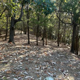 この時は、三輪山の山頂に着いたつもりだった‥

後からマップを見ると手前じゃないか😅
な、な、なんと‼️手前で引き返していたとは‥😭