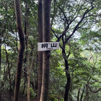桐山。尾根の南端の頂です。