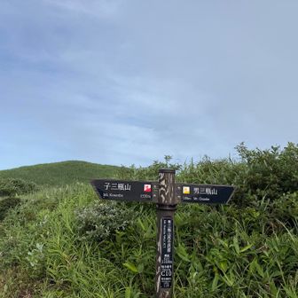 結局登った