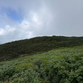 名前に関わらずとっても平らな巖鬼山。
恐ろしい名前は、「鬼の土俵」と関係ありそう？