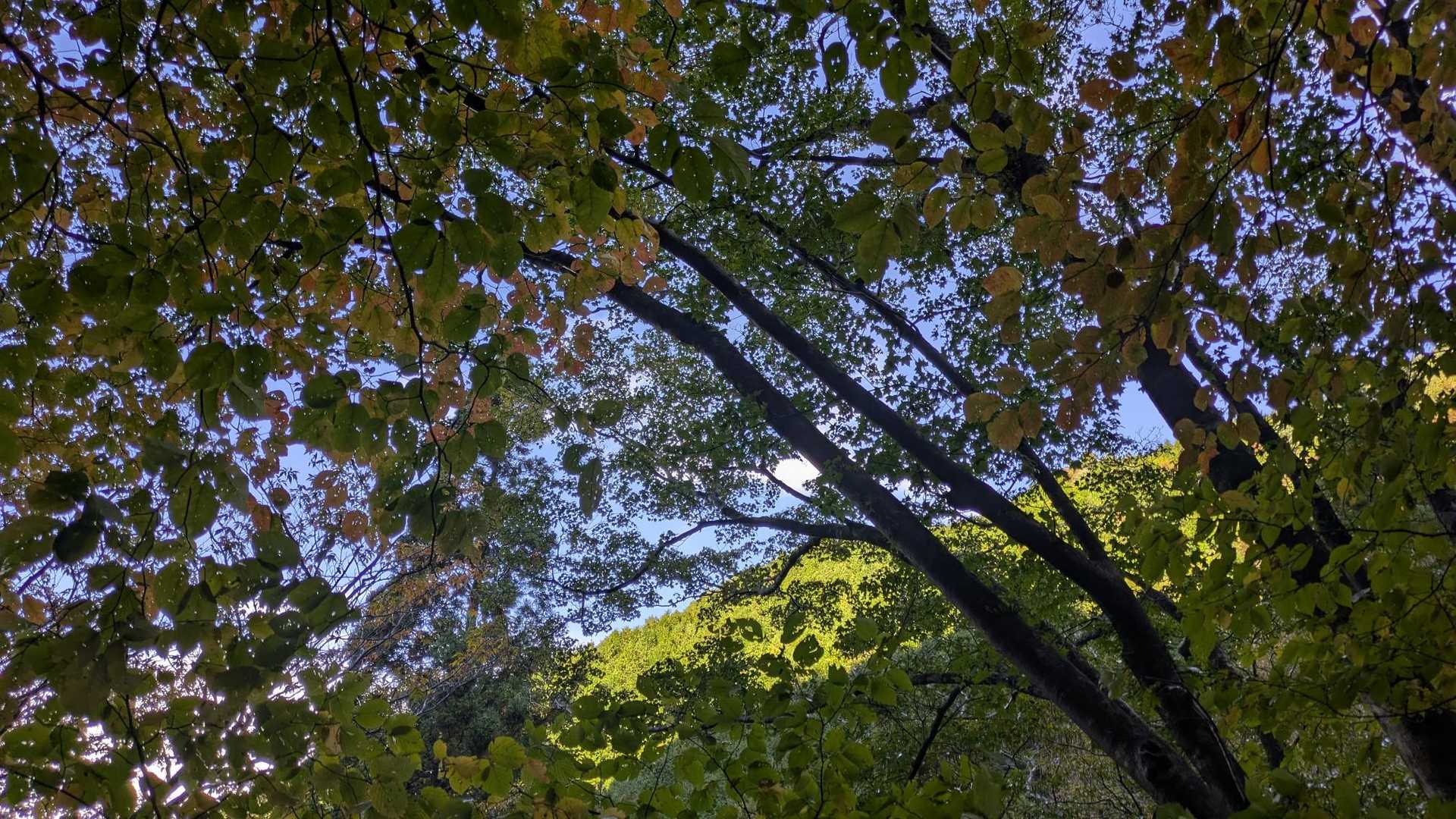 高賀山登山口-御坂峠-高賀山 往復コースの写真