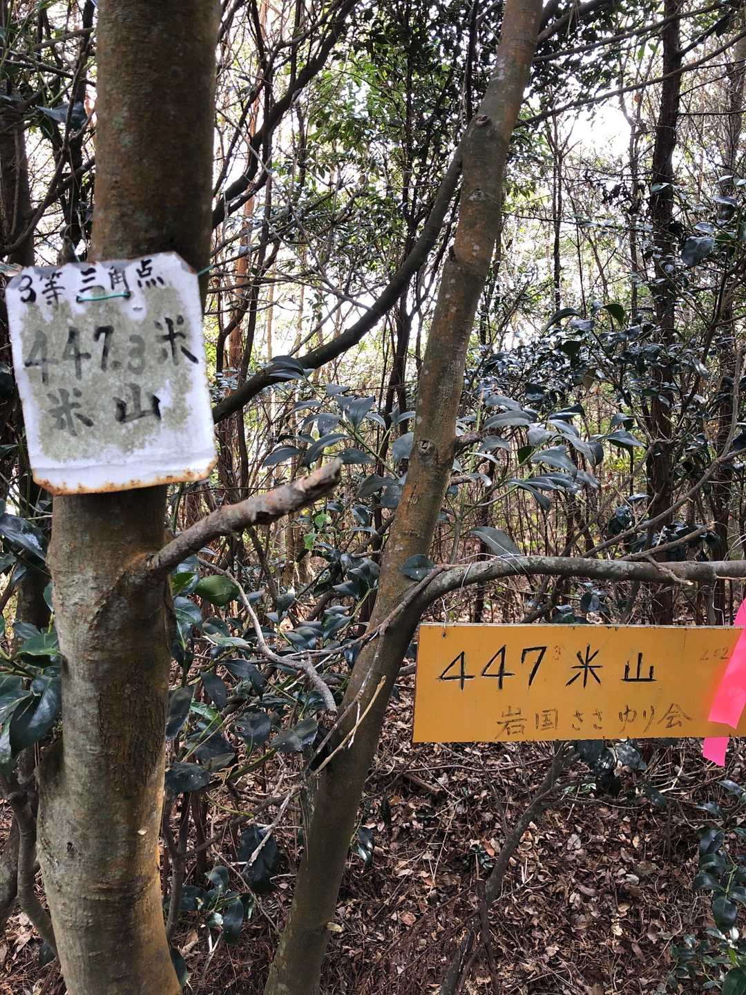 標識、447m