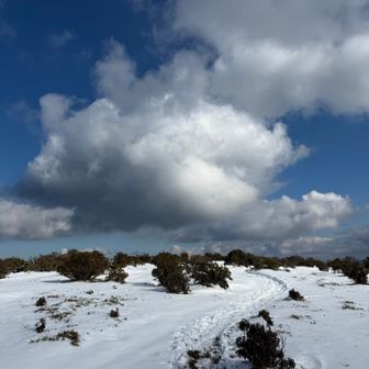 雲に手が届きそう🖐️

神戸の方に気の利いた話もできずたわいもない話をしてしまう😅