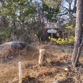 鷲ヶ嶽　標高544m