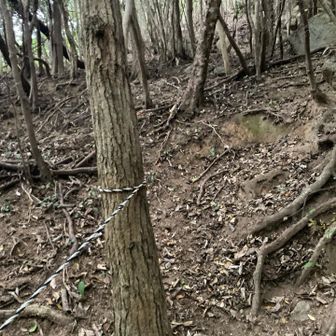 このロープが助かります。目印にもなります。滑りやすいので注意⚠️です。