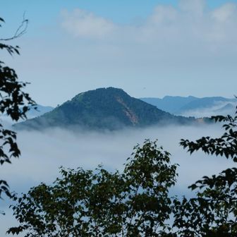雲海から突き出た山。おそらく太郎山