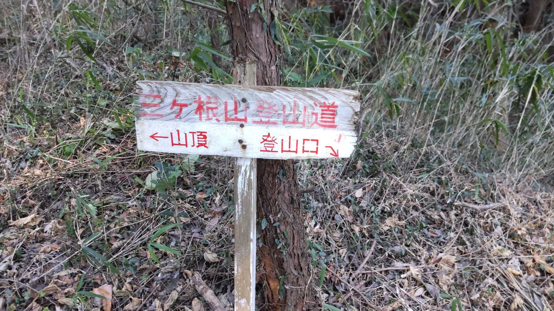 登山口から少し入って看板あり❗️