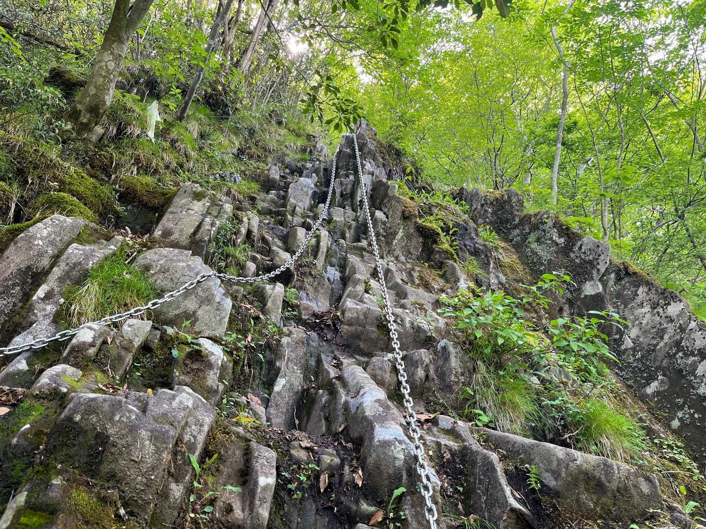 犬ヶ岳登山口-笈吊峠 往復コースの写真