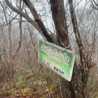 小椋楢山とも言うんですね。
素敵な名板でした。