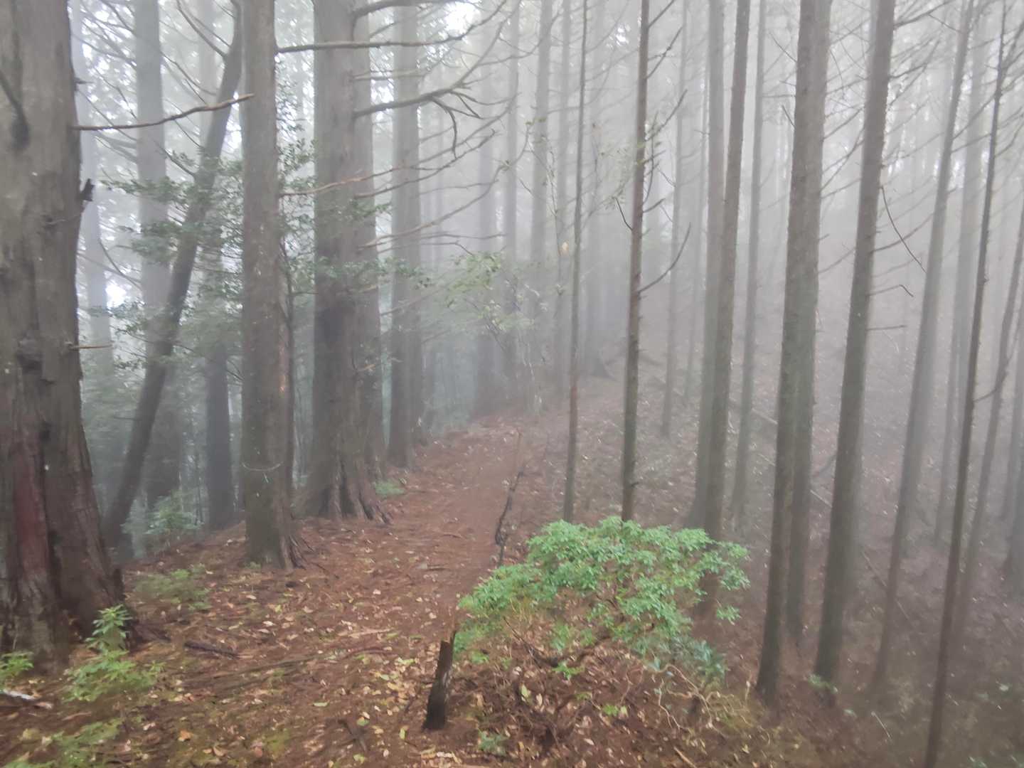 日当山-奥北山-八高山 周回コースの写真
