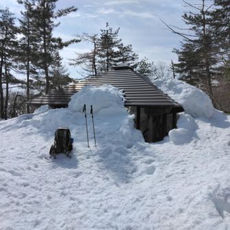 先週の大雪で埋もれてたようですが、だいぶ溶けています
