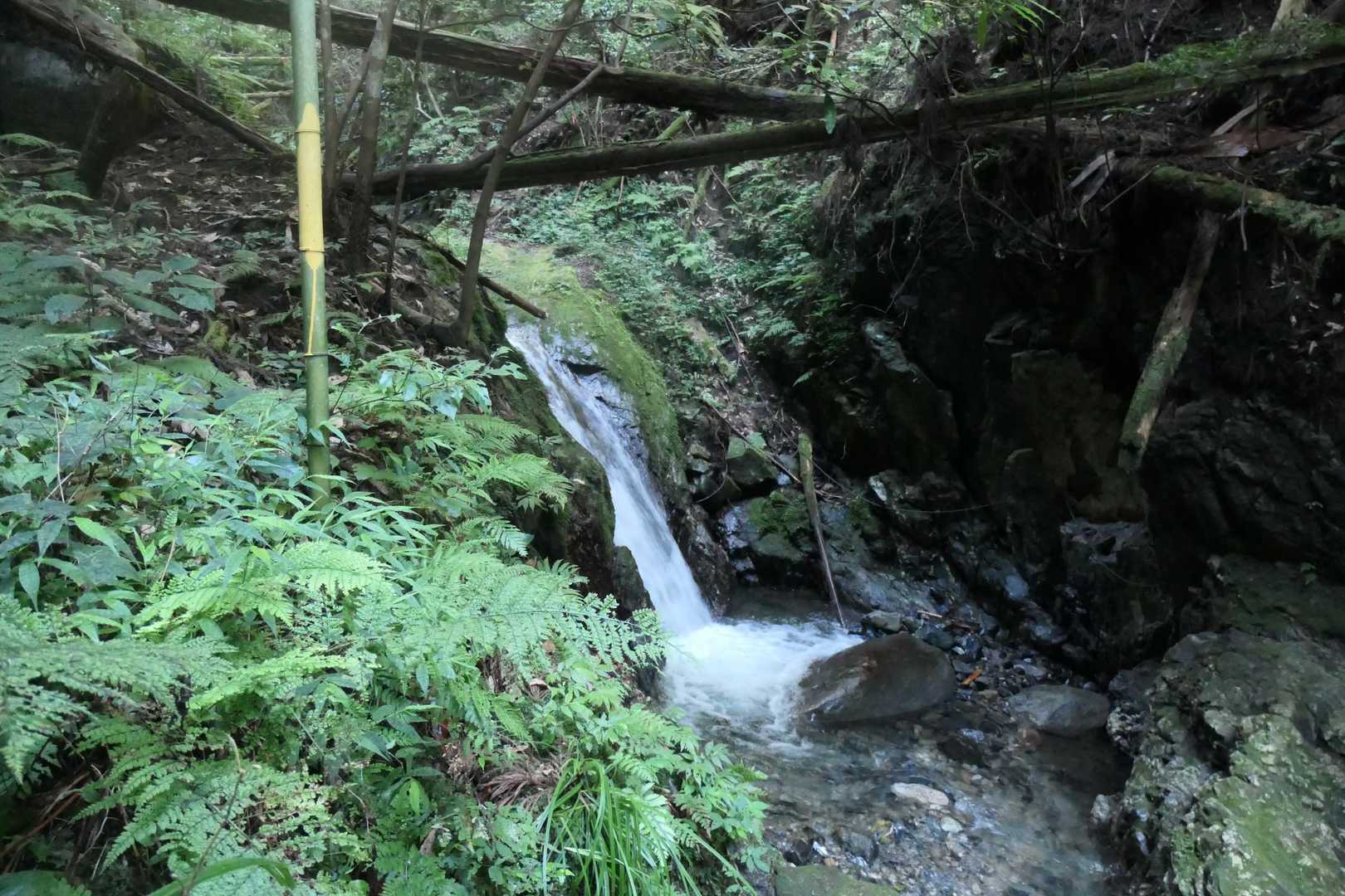 朽ちた橋上流