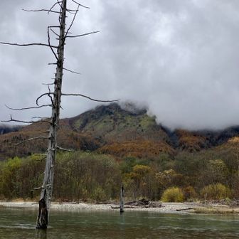 2年前も、こんな天気だったなぁ…