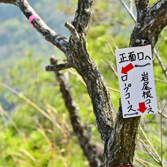岩尾根コースで下ります