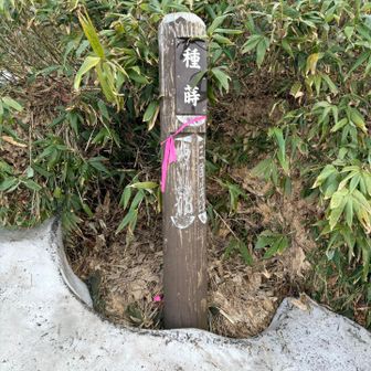 種蒔山に戻って来ました。
雪渓終了☑️