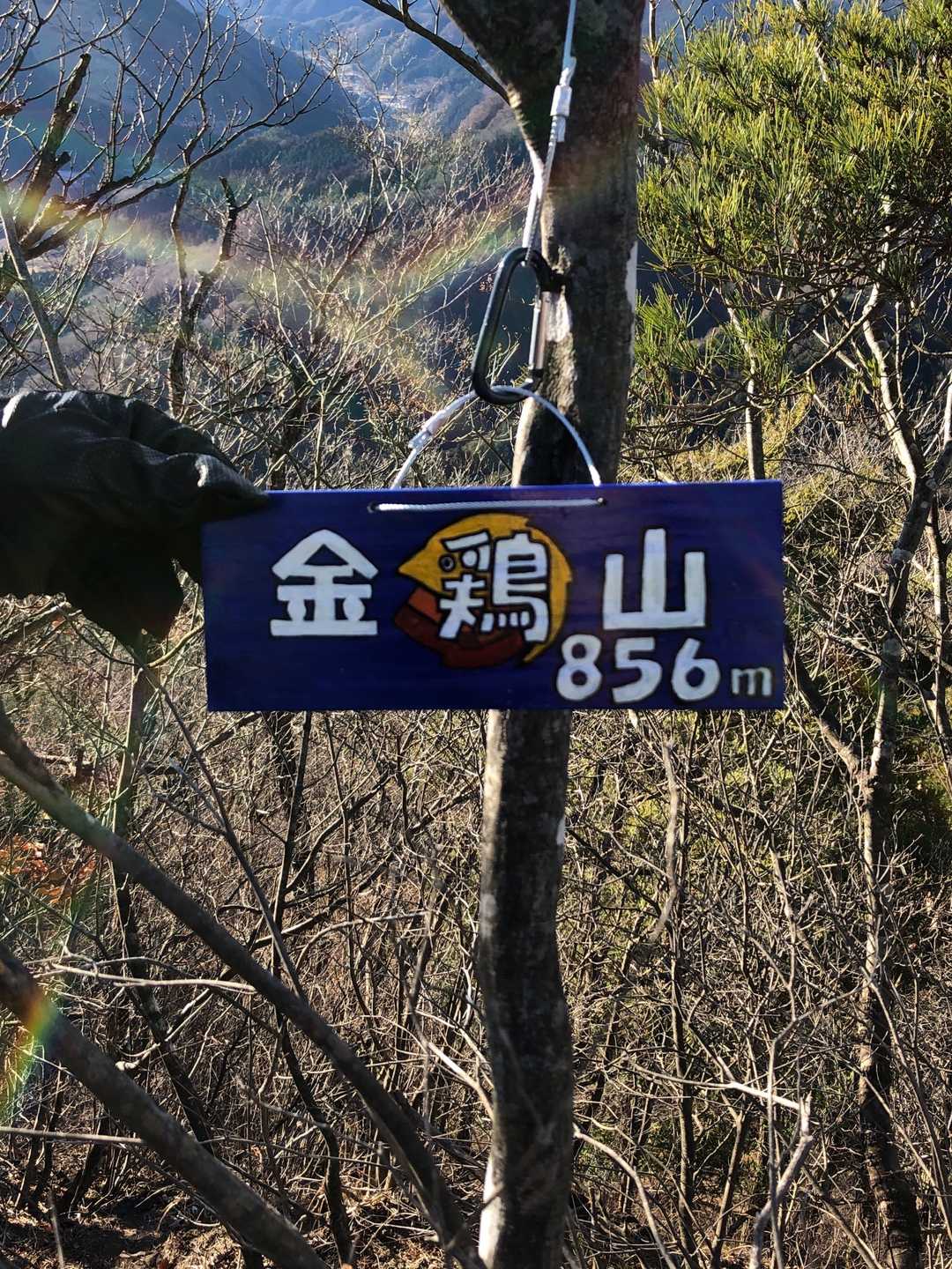 KARINAさんが作った金鶏山の看板
いいね💖💯
