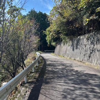 梅野木峠からは林道大入線を下ります。
途中、何も危険個所・崩壊箇所はありません。