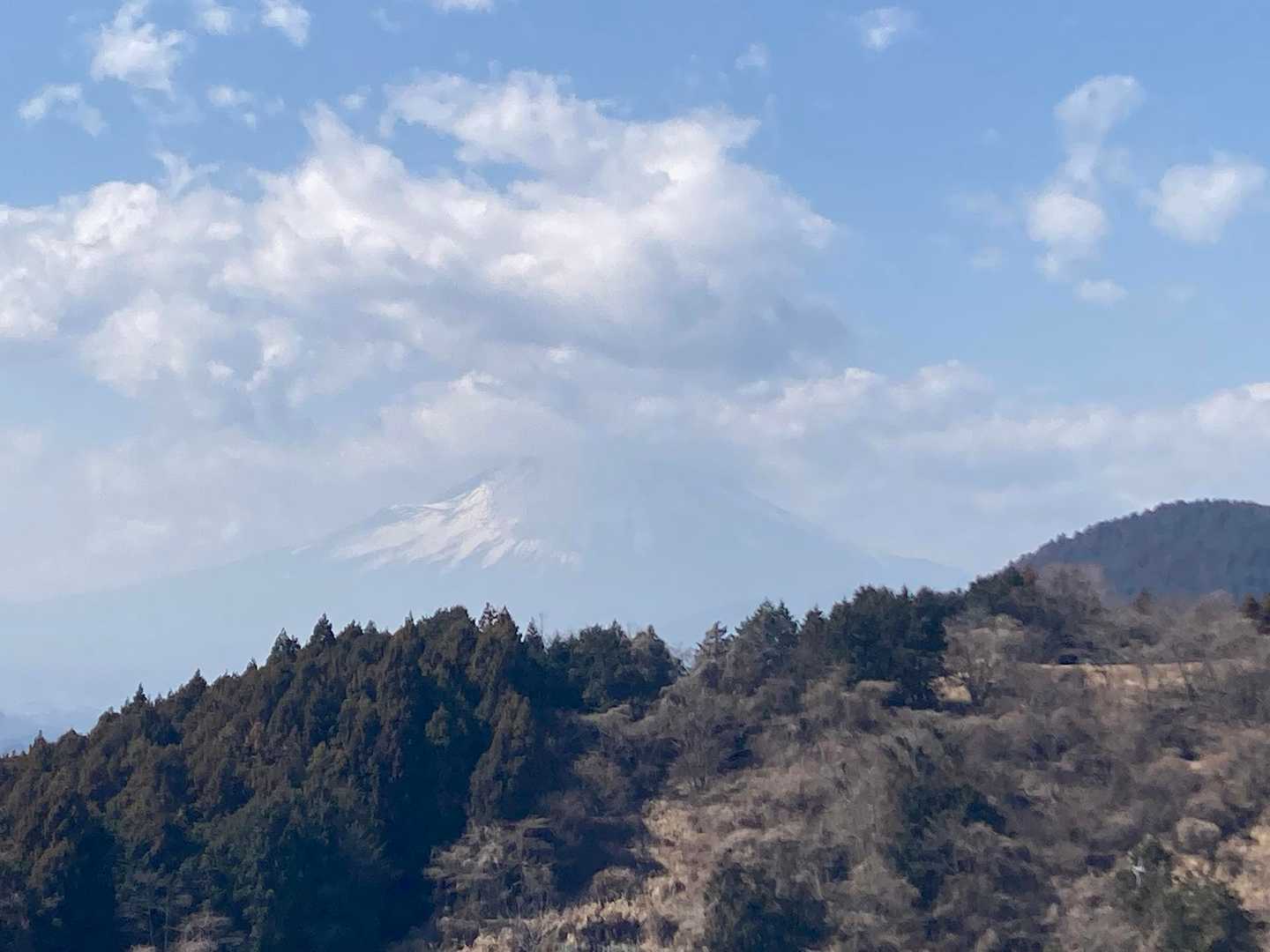 高松山入口バス停-高松山-尺里峠-小田急　新松田駅 縦走コースの写真
