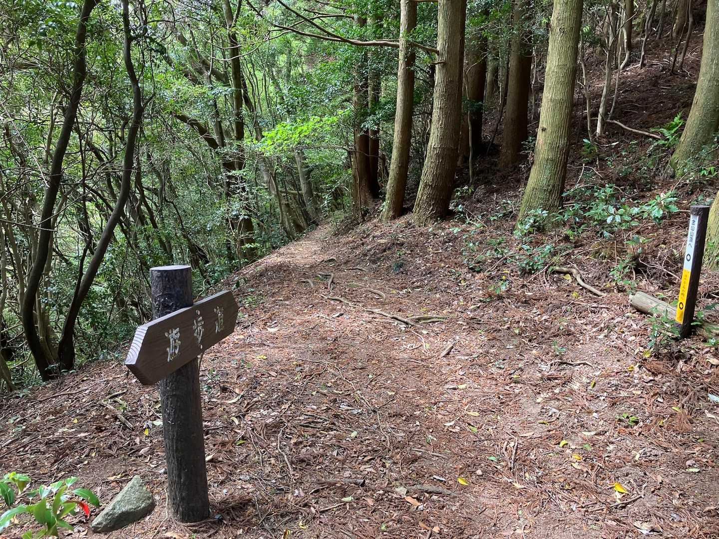 すぐに遊歩道の標識、遊歩道か？
ここまでは、正直😰キツいです！
しかし、ここからは、楽ちん