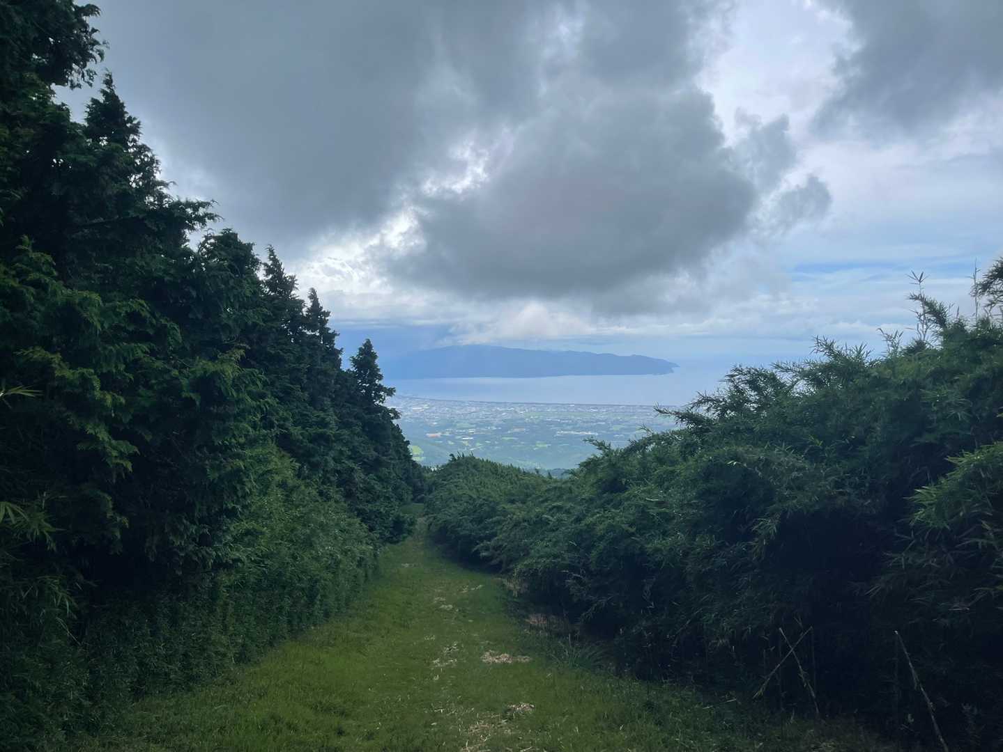 池の平 往復コースの写真