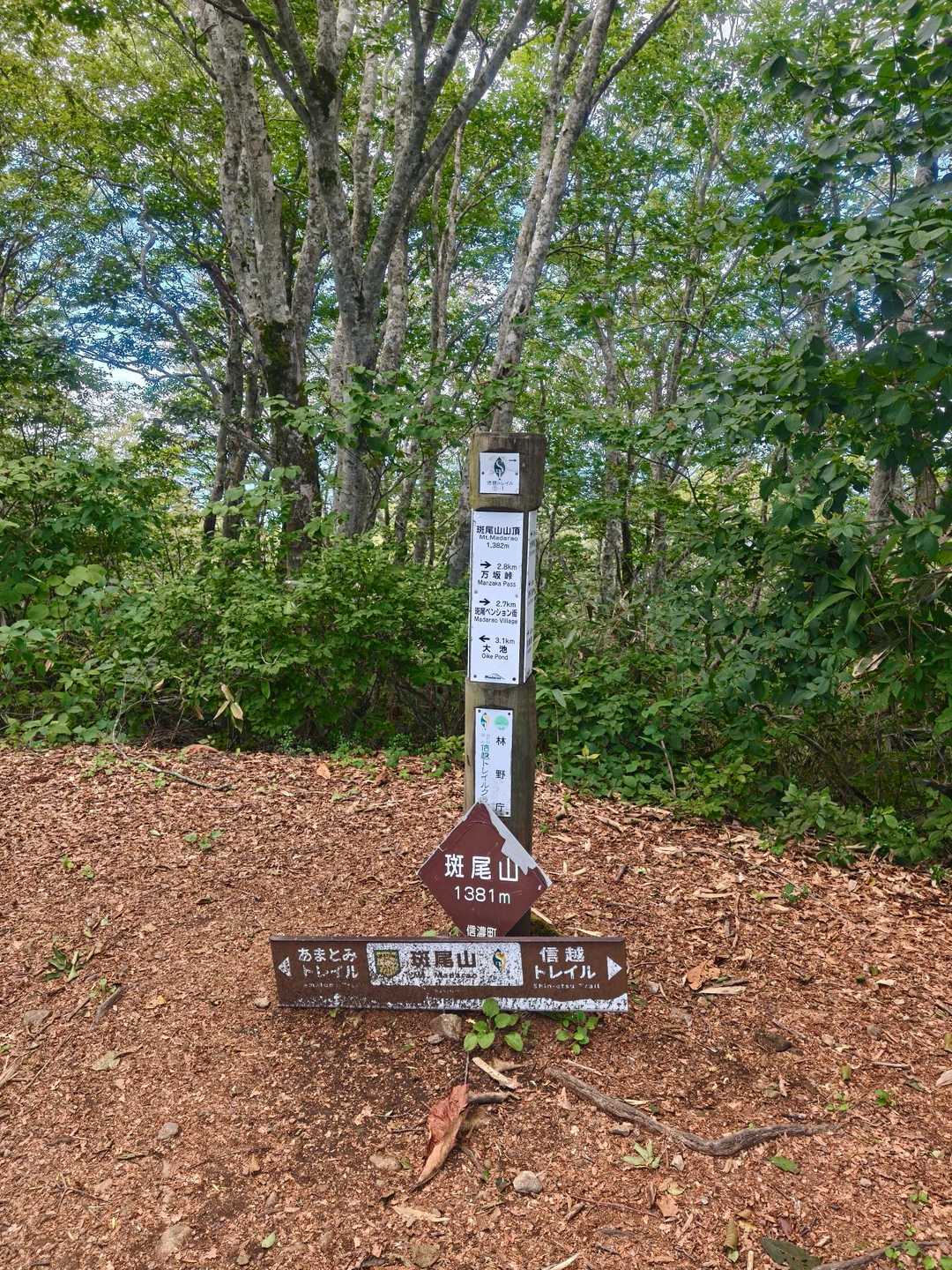 登頂～
眺望はありませんので先に進みます