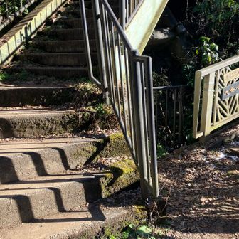 雪がちょっと残ってました