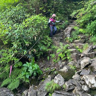 森林限界付近まで登った後また下る