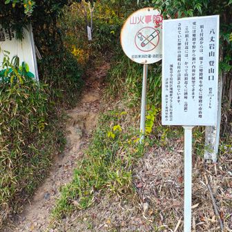 降りてきました