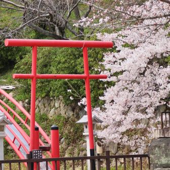神呪寺
こちらの桜も見頃