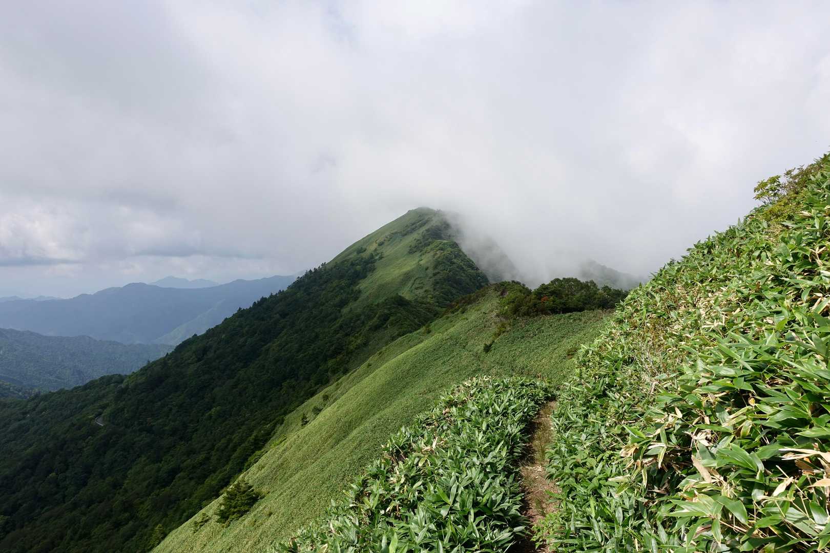 旧寒風山トンネル南口-桑瀬峠-伊予富士-東黒森 往復コースの写真