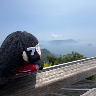 気持ち良いですわ♦️
クソ暑いけど🫠