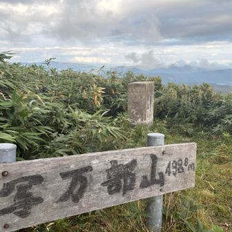 写万部山498ｍ

立派な標識です🪧👏🏻
無駄にデカい😂