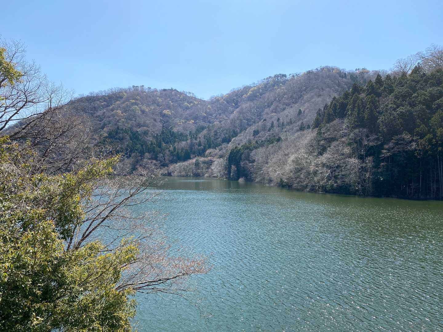 ダム湖越しの横根山⛰