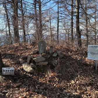 YAMAPでは鳥小屋山となっている場所。高津屋城跡（鳥小屋城跡）とあります。比定地とは推定地という意味らしいから大体この辺ってことでしょうか。お地蔵さん2体に合掌🙏