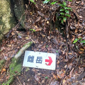 途中で引き返しました。