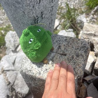 登頂⛰️
三角点タッチ
こてつ隊長は連れてこれなかったけど、もりぞーは連れてきた。