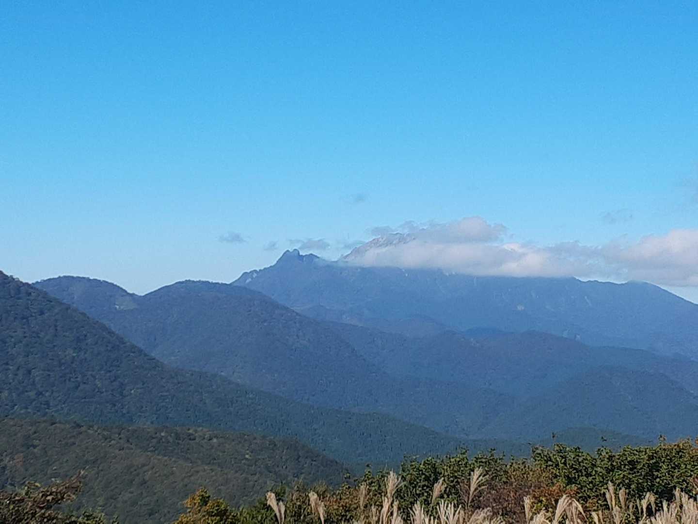 山頂からの絶景、大山さんは今日は雲の帽子かぶってるー😅