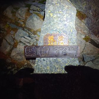 蝶槍、登頂