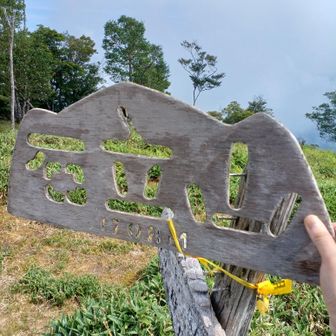 石立山本峰に登頂。虻に付きまとわられました。熊が気になって、そんなに長くは休めません。山頂で出会った男性はピストンで戻って行かれましたが、私は周回ルートで。