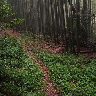 みのが峠まで戻ってきました。