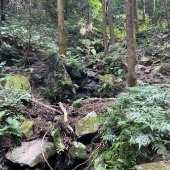 沢が出て来て楽しい！
でも足元注意！