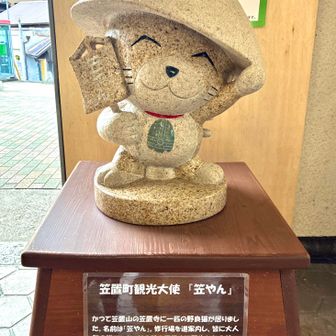 笠置町観光大使　笠やん
ここでしか見た記憶なし💦