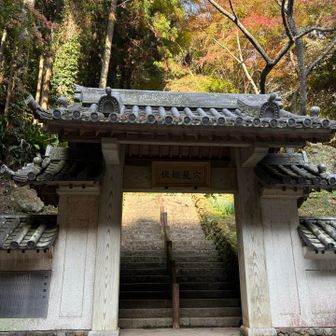 ここまでは車でも。