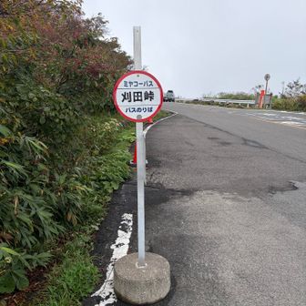 駐車場はこのバス停近く