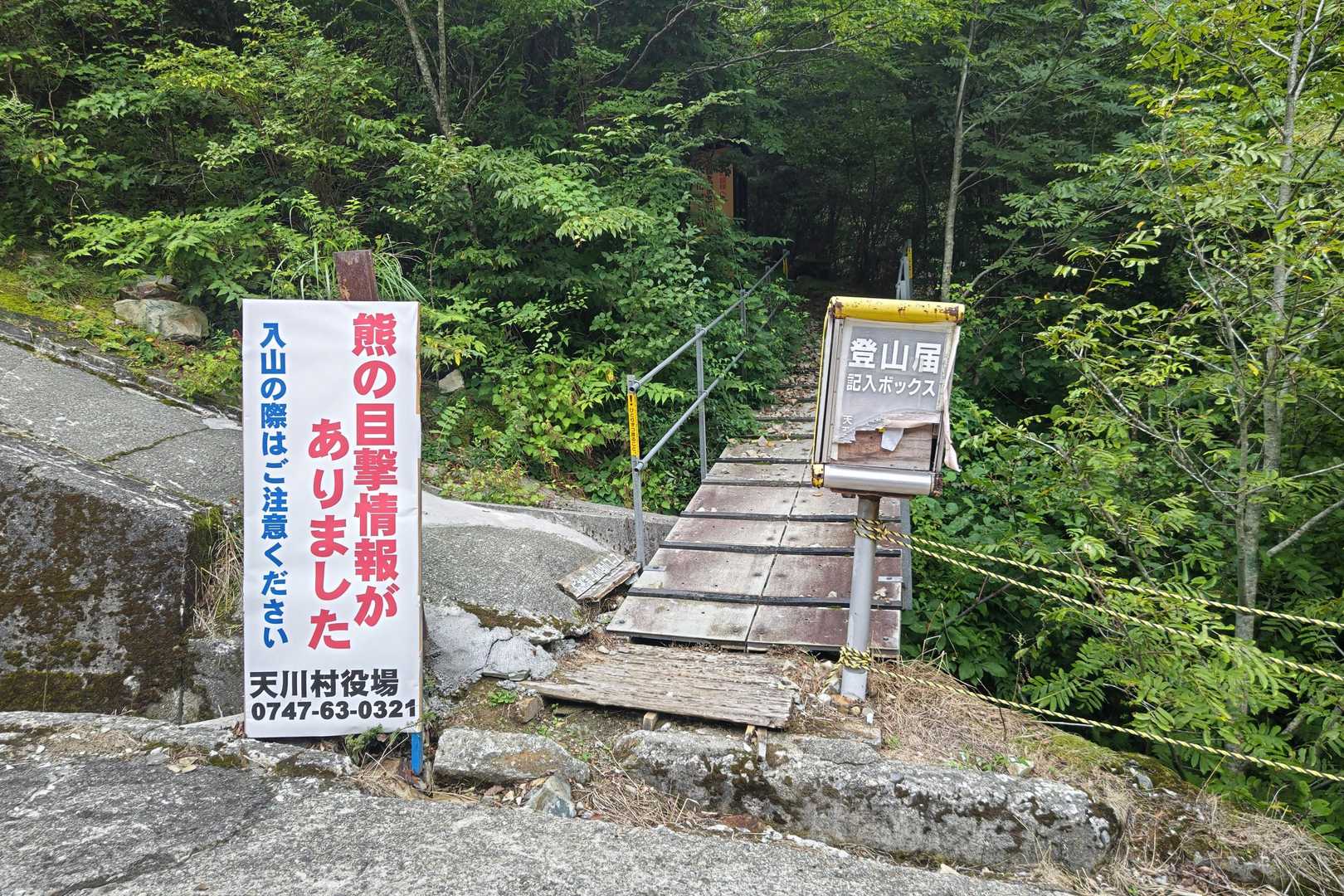 熊🐻には出会いたくないよなぁ