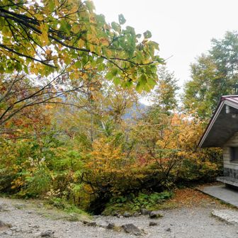 ﾄｲﾚと水場は使えないけど
紅葉みてまったり