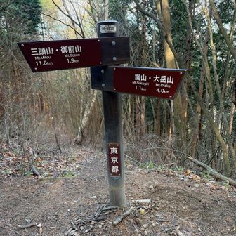 分岐になっています。