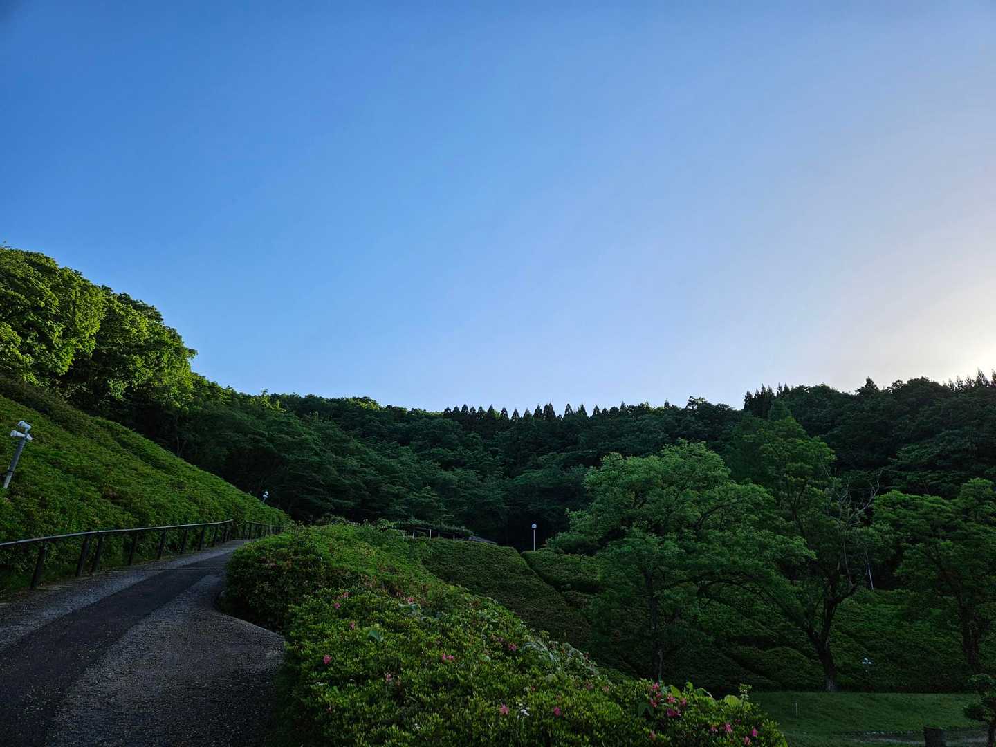 週末になると元気💯
謎ですね
