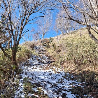 雪が解けてきてヌルヌル。（下山では泥濘に苦戦しました。）