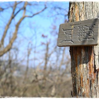 第5ピーク（五峰）何メートルか分からない。 